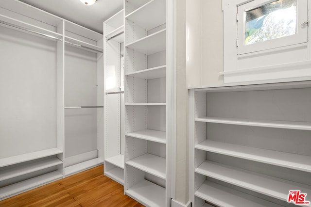 spacious closet with hardwood / wood-style flooring