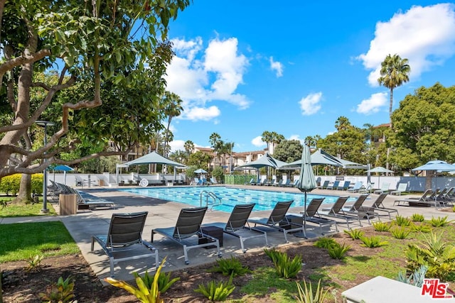 view of pool featuring a patio