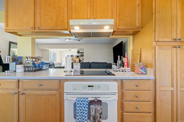 kitchen featuring black electric cooktop and white oven