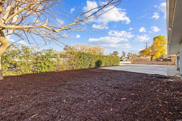 view of yard featuring a patio