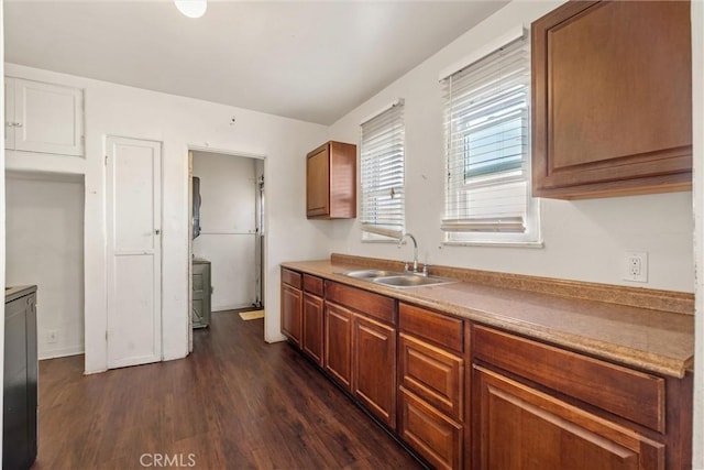 kitchen featuring sink and dark wood-type flooring