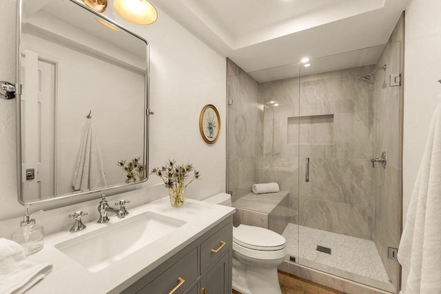 bathroom with an enclosed shower, vanity, and toilet