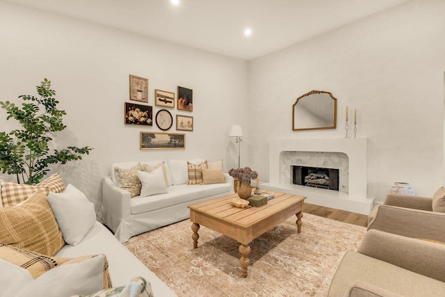 living room featuring wood-type flooring and a fireplace