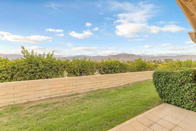 view of yard featuring a mountain view