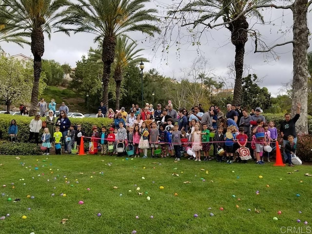 view of home's community with a lawn