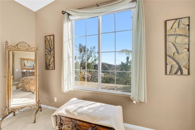 bedroom with multiple windows and carpet flooring