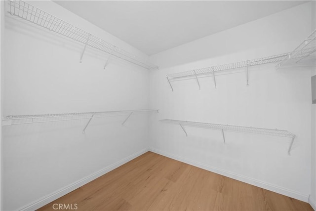 walk in closet featuring hardwood / wood-style floors