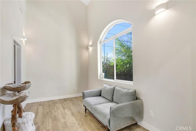 living area featuring light wood-type flooring