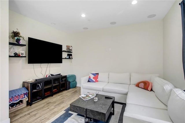 living room with light wood-type flooring