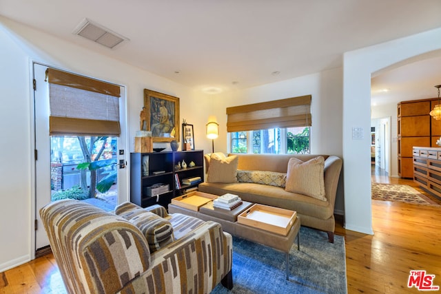 living room featuring hardwood / wood-style flooring