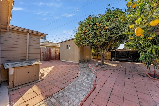 view of patio / terrace featuring a storage shed