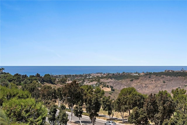 2438 Calle Aquamarina, San Clemente, CA 92673 - water view