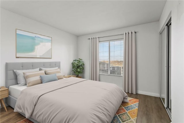 bedroom with a closet and dark wood-type flooring