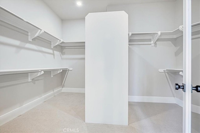 view of walk in closet