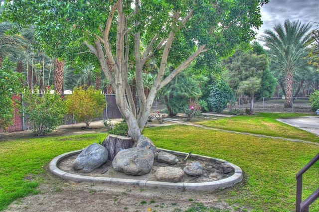 view of home's community with a yard