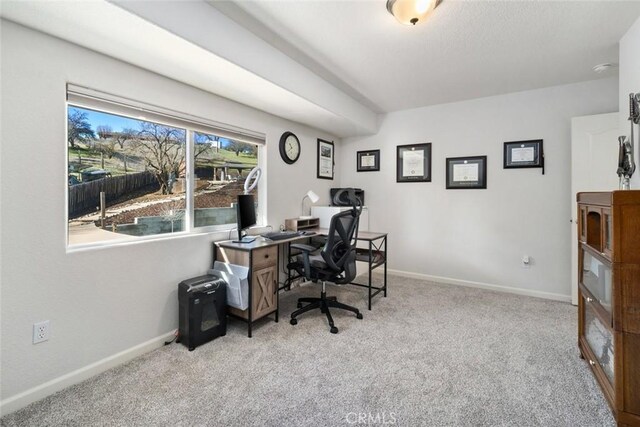 office area featuring light carpet