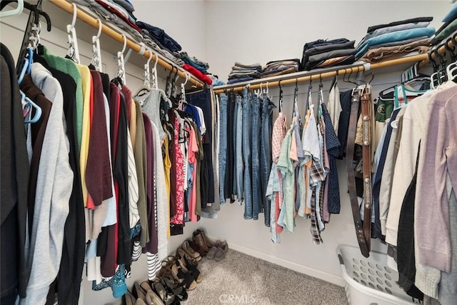 walk in closet featuring carpet flooring