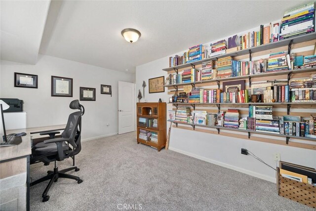 office featuring light colored carpet