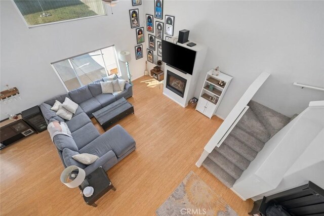 living room with wood-type flooring