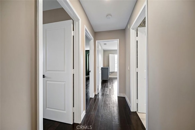 hallway with dark hardwood / wood-style flooring