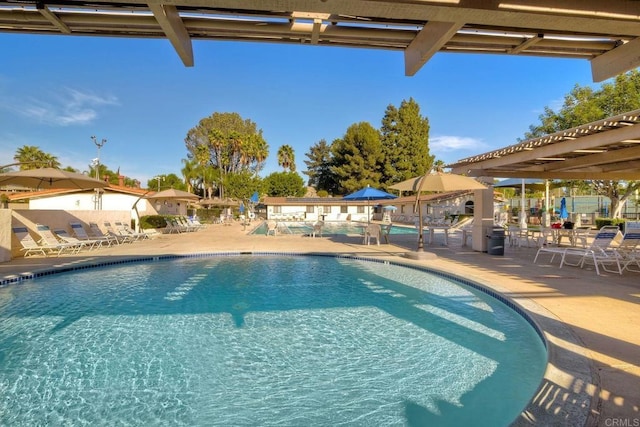 view of pool featuring a patio area