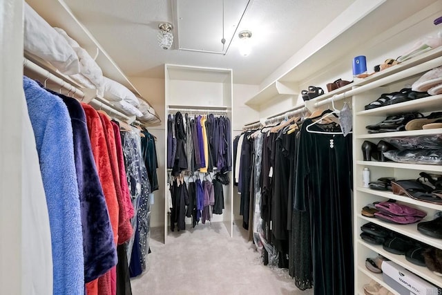 walk in closet with light carpet