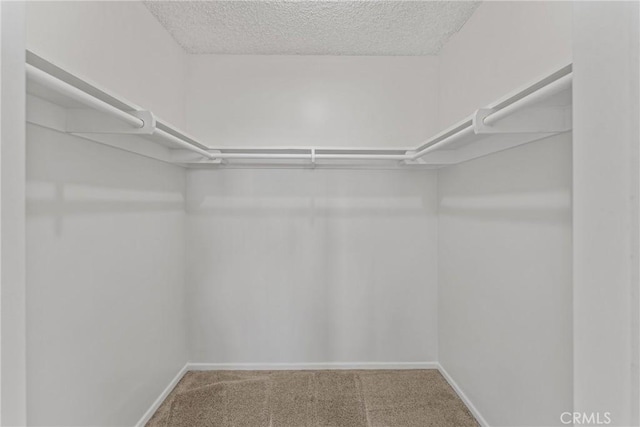 walk in closet with carpet