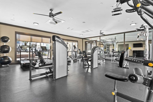 gym featuring ceiling fan and ornamental molding