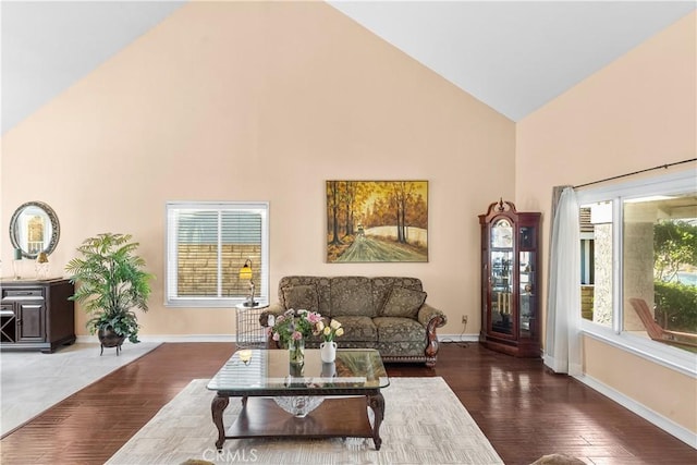 living room featuring high vaulted ceiling and dark wood-type flooring