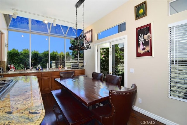 dining room featuring rail lighting and dark hardwood / wood-style floors