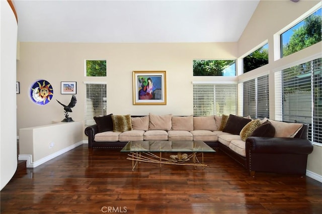 living room featuring high vaulted ceiling and dark hardwood / wood-style flooring