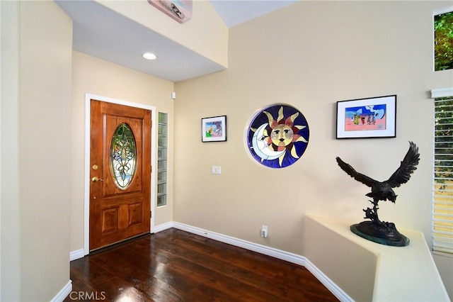 foyer with dark wood-type flooring