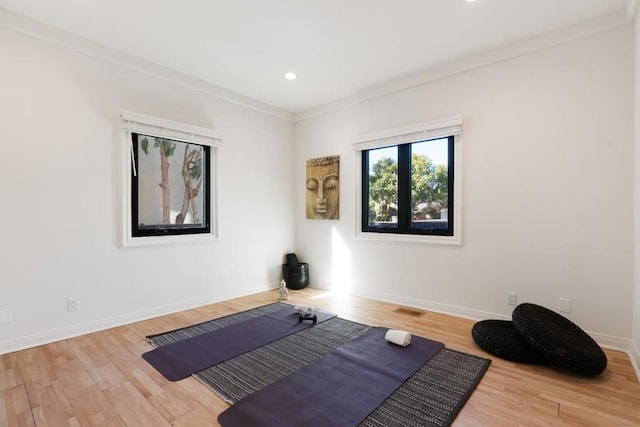 exercise room featuring ornamental molding and hardwood / wood-style floors