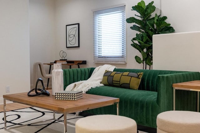 living area with hardwood / wood-style floors