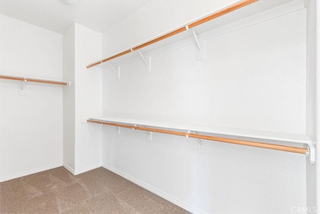 walk in closet with light colored carpet