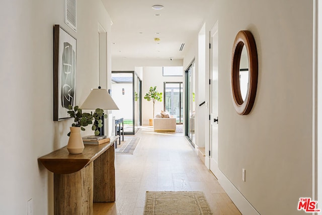 corridor featuring light hardwood / wood-style floors and floor to ceiling windows