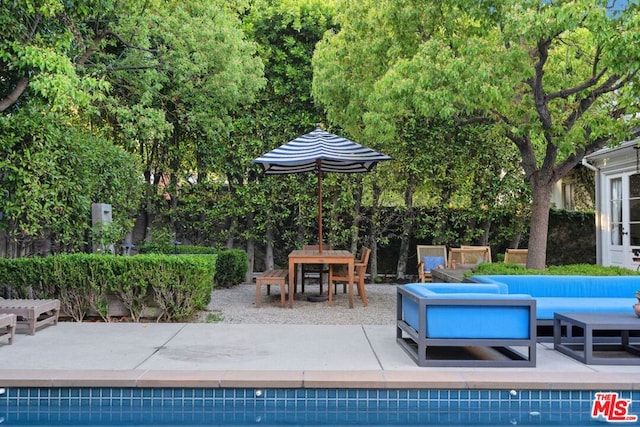 view of swimming pool featuring a patio