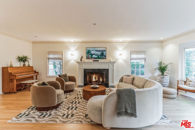 living room with crown molding, light hardwood / wood-style flooring, and plenty of natural light