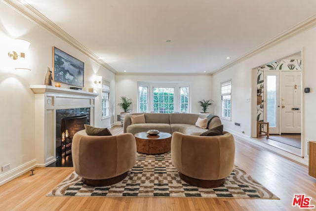 living room featuring hardwood / wood-style floors, a fireplace, and ornamental molding