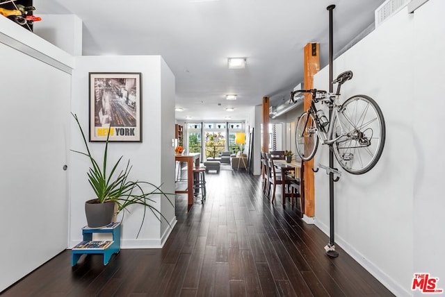 hallway with dark wood-type flooring and expansive windows