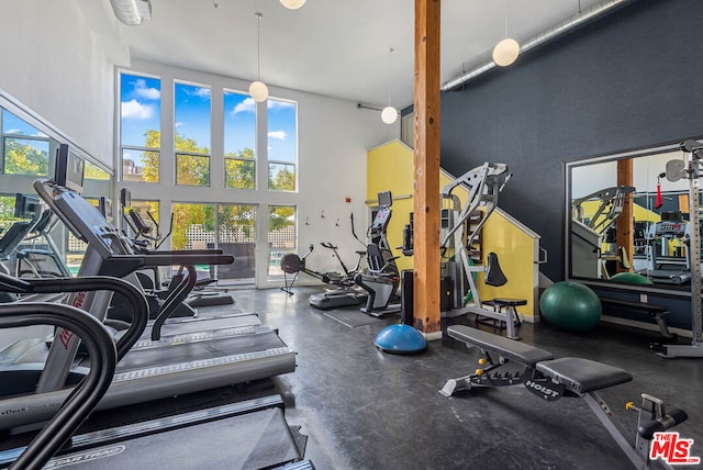 workout area with a high ceiling