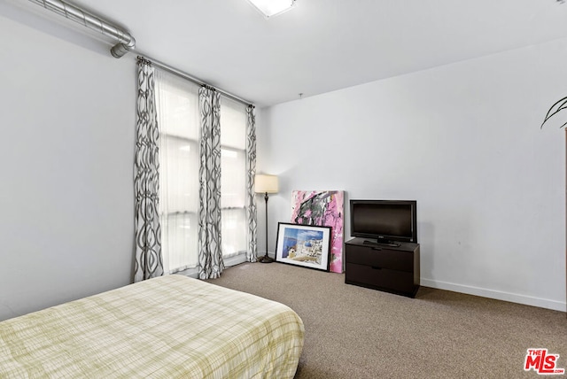 bedroom with carpet floors