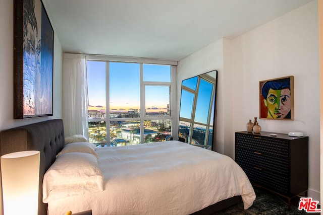 bedroom featuring floor to ceiling windows