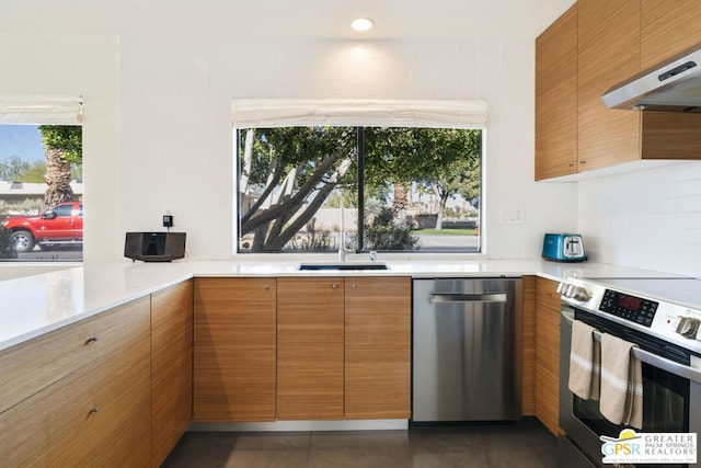 kitchen featuring exhaust hood, sink, tasteful backsplash, and stainless steel appliances