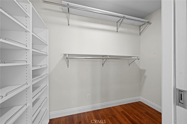 spacious closet with dark hardwood / wood-style flooring