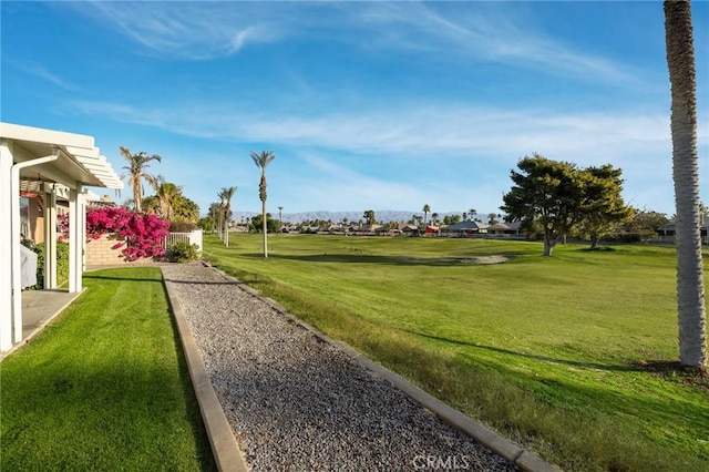 view of property's community featuring a yard