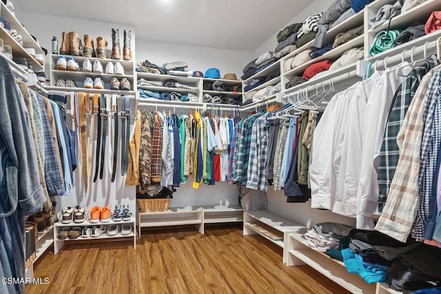 walk in closet featuring hardwood / wood-style flooring