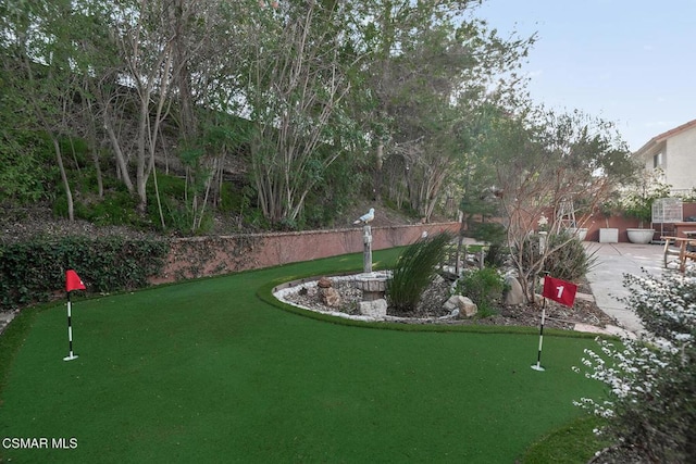 view of yard with a patio area