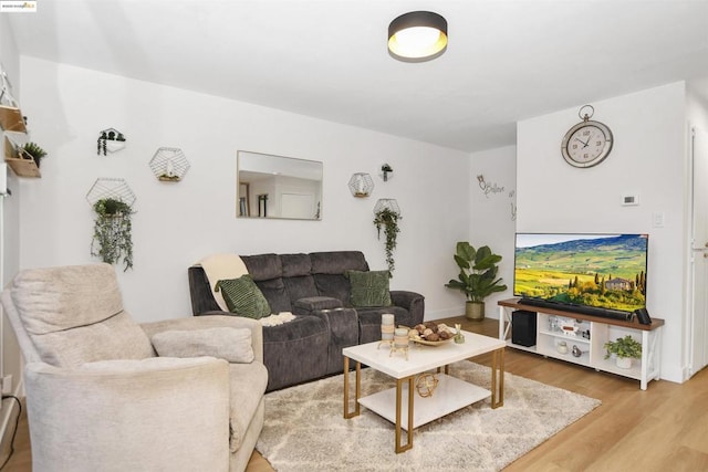 living room with hardwood / wood-style floors