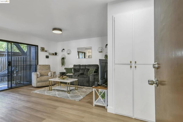 living room featuring hardwood / wood-style flooring